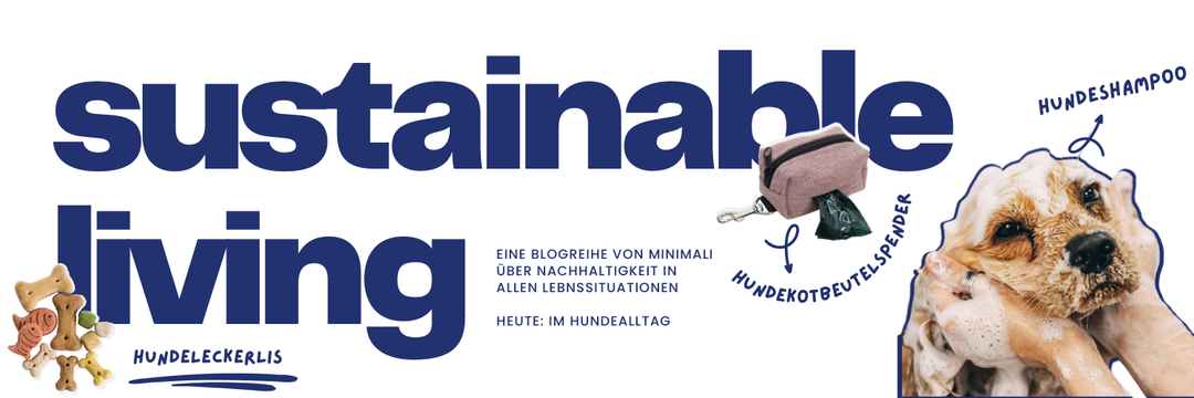 Nachhaltig durch den Hundealltag