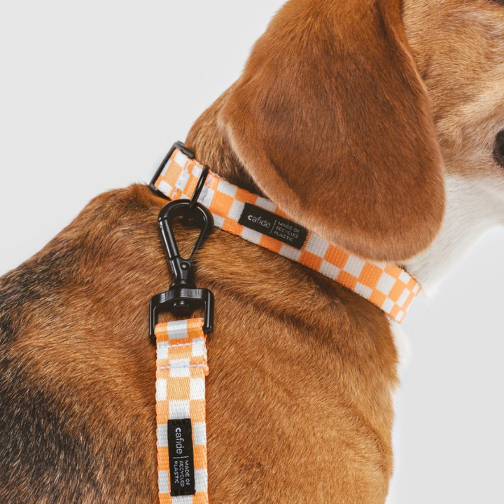 Halsband aus recyceltem PET - Orange