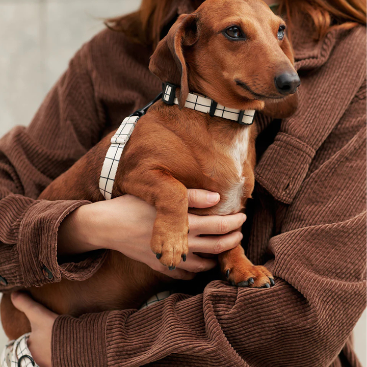Halsband aus recyceltem PET - Beige