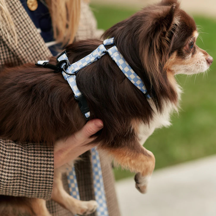Hundegeschirr aus recyceltem PET - Blau Karo