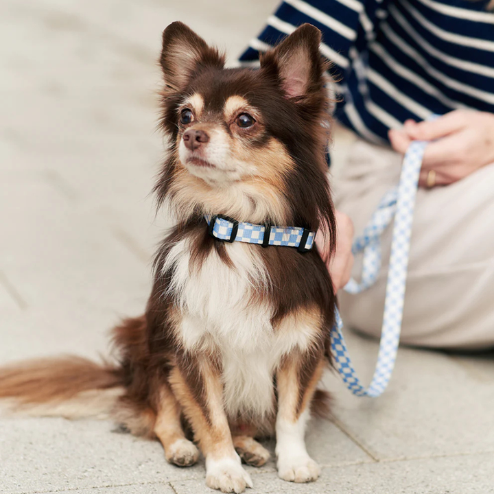 1,2 m Hundeleine aus recyceltem PET - Blau Karo